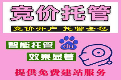 竞价推广SEM托管实战案例，揭秘高转化策略